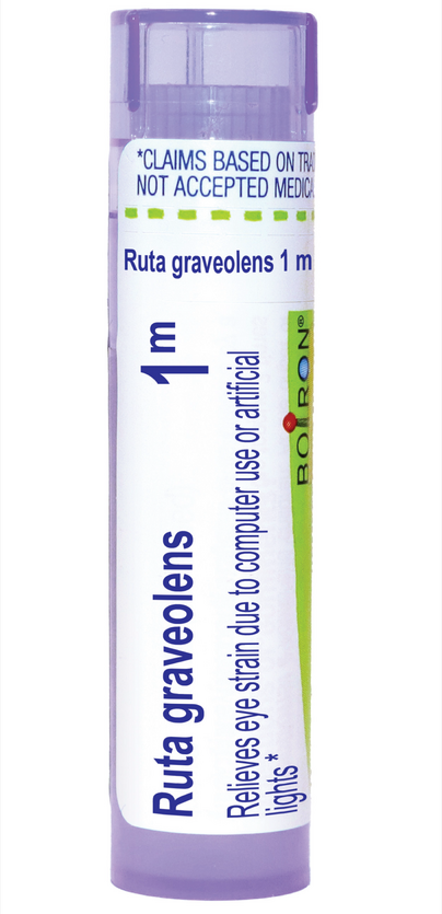Ruta Graveolens 1m product image