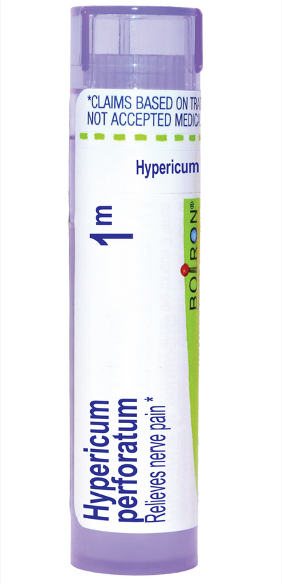 Hypericum Perforatum 1m product image