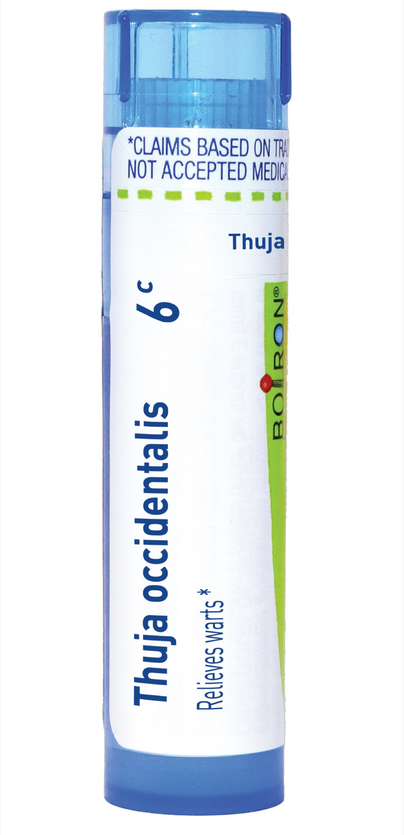 Thuja Occidentalis 6c product image