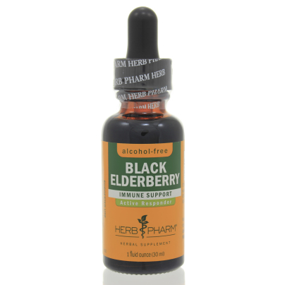 Black Elderberry Glycerite product image