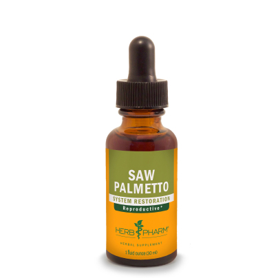 Saw Palmetto product image
