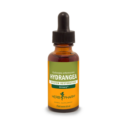 Hydrangea product image