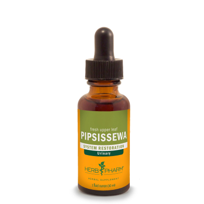 Pipsissewa product image