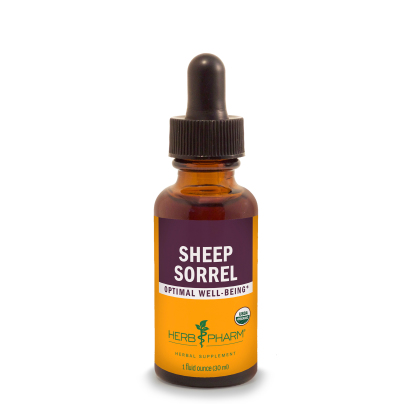 Sheep Sorrel product image