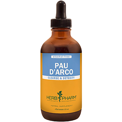 Pau d'Arco (Lapacho Taheebo) Glycerite product image