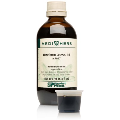 Hawthorn Leaves 1:2 product image