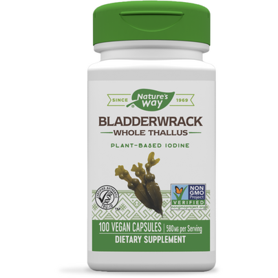 Bladderwrack product image