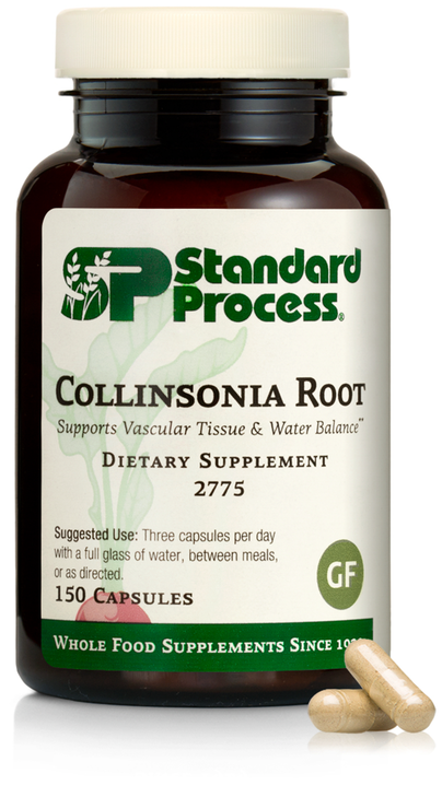 Collinsonia Root product image
