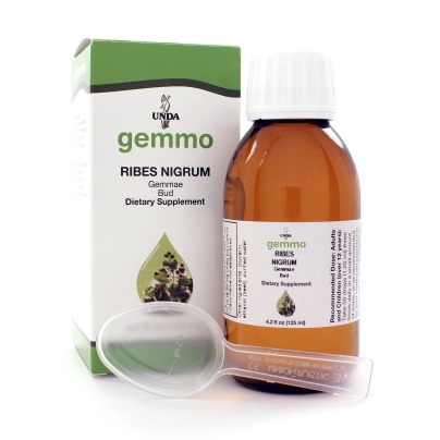 Ribes nigrum product image