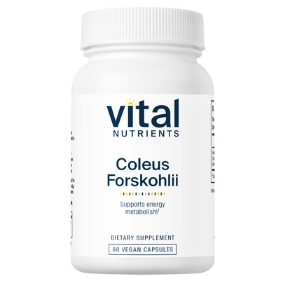 Coleus Forskohlii 10% 90mg product image