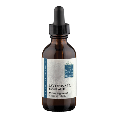 Lycopus virginicus - bugleweed product image